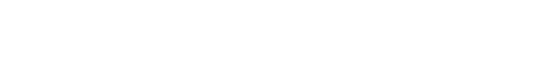 Roleminds Wordmark